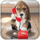 Puppy Call APK