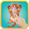 Tickle Cat APK