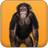 Talking Monkey APK