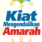 AaGym - Kiat Kendalikan Amarah アイコン