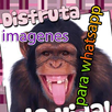 Imágenes para whatsapp APK