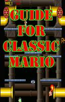 Guide for classic mario poster