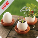 آیکون‌ Craft plants
