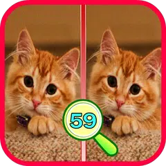 Find The Differences 59 APK download