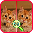 Find The Differences 59 APK