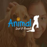 Animal Lost and Found Affiche