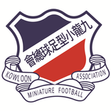 九龍小型足球總會