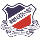 九龍小型足球總會 icono