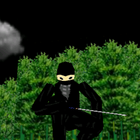 3D Ninja Game icône