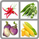 Veggies Quiz - Guess Veggies APK