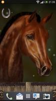 Arabian Horse Free Wallpaper Affiche