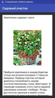 Садовый участок Plakat