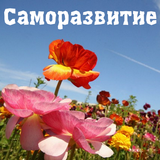 Саморазвитие 圖標