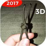 Knots 3D