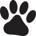 Know Your Dogs
