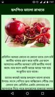 Fruits Health Benefits Bangla capture d'écran 2