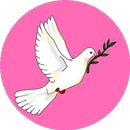 Peace Quotes APK