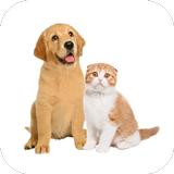 How to Draw Cats and Dogs icon