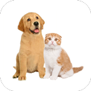 How to Draw Cats and Dogs APK