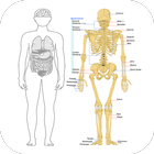 Human Anatomy and Physiology آئیکن