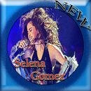 Selena Gomez Wolves Top Songs Mp3 And Lyric APK