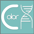 Color DNA APK