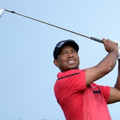 Tiger Woods News