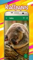 Koala Wallpapers ảnh chụp màn hình 3