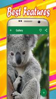 Koala Wallpapers captura de pantalla 2