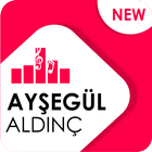 Ayşegül Aldinç - Aşk Gelince-icoon