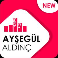 Ayşegül Aldinç - Aşk Gelince Cartaz