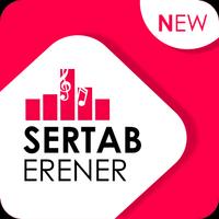 Sertab Erener - Olsun Affiche