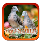 Kicau Burung Perkutut Mp3 icon