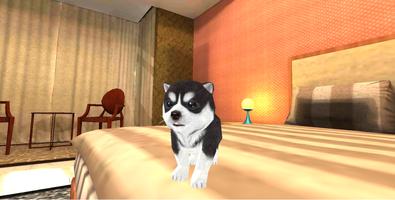 Hund Hündchen Simulator 3D Affiche