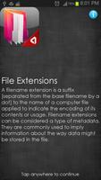 File Extensions poster