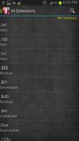File Extensions screenshot 2