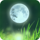 Nature Relaxing Sounds icon