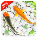 Koi Free Live Wallpaper 3D
