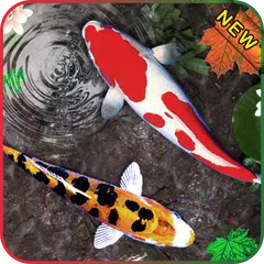3D Koi Fish Wallpaper HD Fish Live Wallpapers Free APK  for Android –  Download 3D Koi Fish Wallpaper HD Fish Live Wallpapers Free APK Latest  Version from 