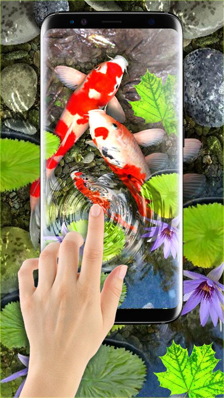 Android 用の 魚の壁紙 電話の背景 Apk をダウンロード