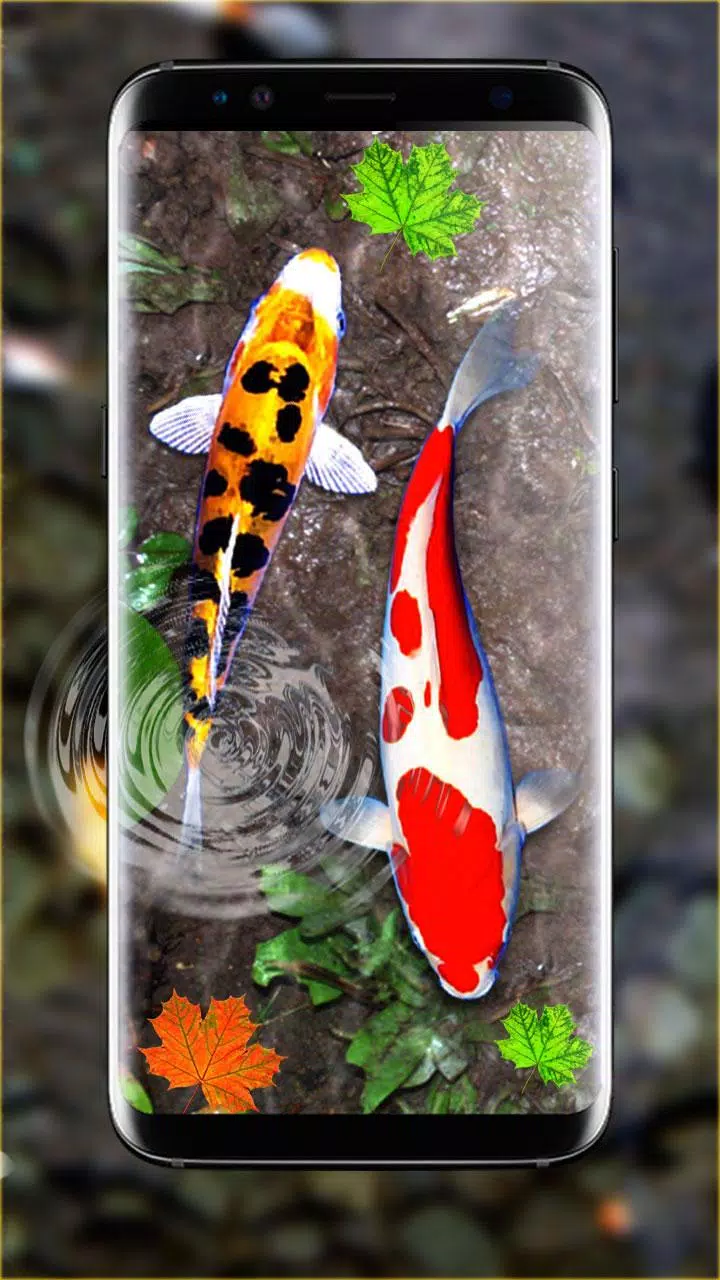 3D Koi Fish Wallpaper HD Fish Live Wallpapers Free APK for Android Download