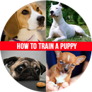 How to Train a Puppy APK