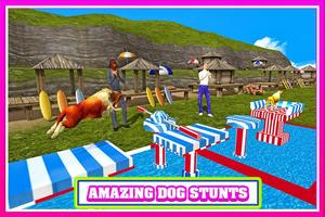 Dog Stunts Sim 3D Affiche