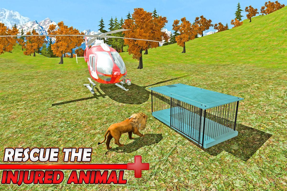 animal rescue animal rescue