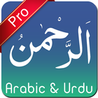 Surah ArRahman Urdu Pro icône