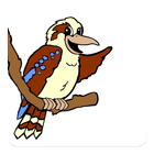 Kookaburra ELC ikon