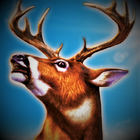 Deer Hunter Crazy Deer Hunting icône