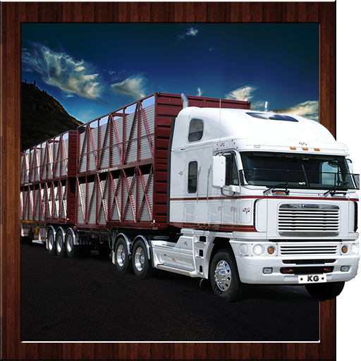 Offroad Truck Cargo Delivery Driving Simulator