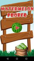پوستر Watermelon Prober