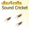 Cricket Cricket HD APK